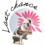 Last Chance
