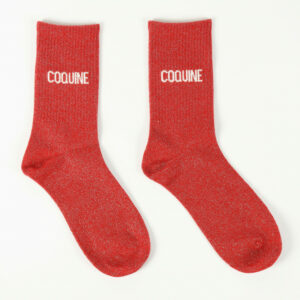 chaussettes _paillettes_coquine