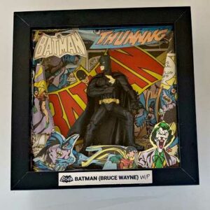 lebazracaro_cadre_batman_winter_parker
